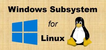 如何在Windows环境中使用Linux？
