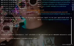 启动SpringBoot项目，报错：无法配置数据源：未指定“url”属性，并且无法配置嵌入式数据源。求解求解