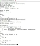 Shell脚本规范|学习笔记