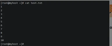 《冬季实战营第二期：Linux操作系统实战入门》实践报告