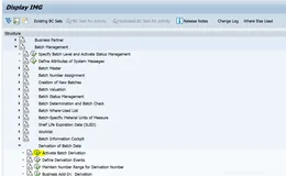 SAP Batch Derivation功能初探之二（一）