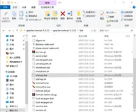 如何测试Tomcat是否启动成功