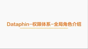 Dataphin权限体系（1）：权限体系介绍与角色权限【视频】