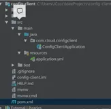 Springboot 整合 SpringCloud组件-Config 配置中心 ConfigClient (七)