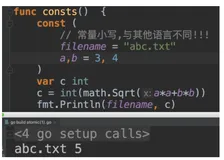 Go实战(二)-变量、语句、函数、指针、关键字（中）