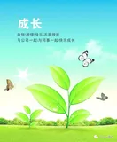 年轻程序员如何快速成长