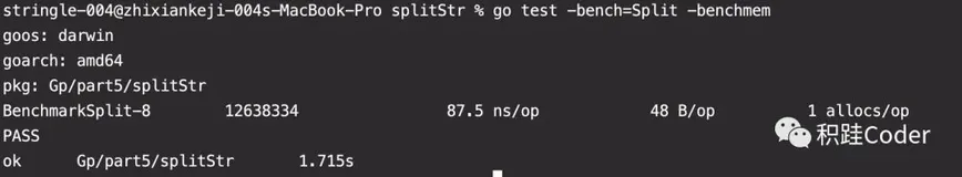 go代码测试与调优（下）