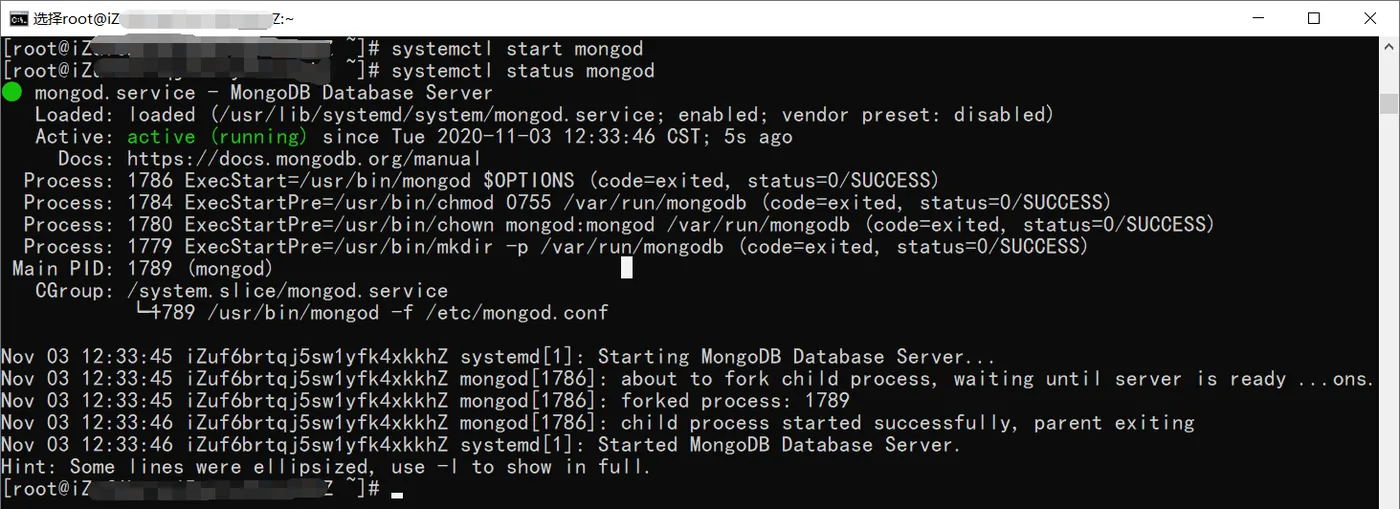 启动MongoDB