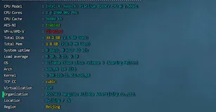 关于阿里云乌兰察布ECS突发性能t6型云服务器的性能评测