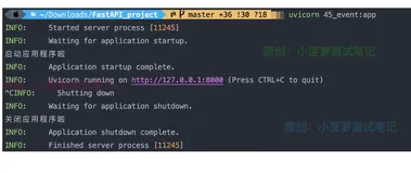 FastAPI（55）- Events: startup - shutdown 启动/关闭事件