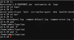 Linux-3-命令-3-pwd