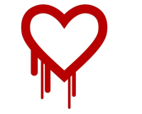 heartbleeder 自动检测 OpenSSL 心脏出血漏洞 （附修复指南）