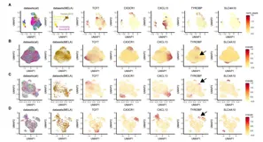 分享一篇 Science 里不同批次的单细胞数据整合及批次校正方法
