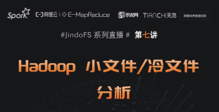 7月2日 JindoFS 系列直播【Hadoop 小文件/冷文件分析】