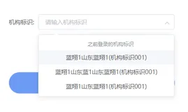 elementui中自定义Select选择器样式自定义