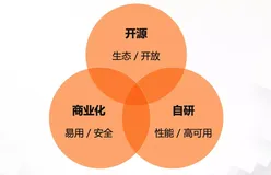 阿里巴巴服务网格技术三位一体战略背后的思考与实践