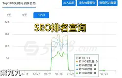 宋九九：关键词SEO，百度SEO首页稳定多年的上排名降权了