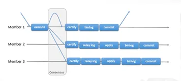 MySQL MGR 8.0高可用实战|学习笔记