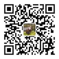 小松鼠微信二维码的副本.JPG 小松鼠微信二维码的副本.JPG