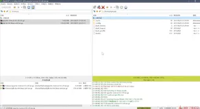 Linux/JavaWeb - JDK环境搭建 & Web运行环境配置 & Java项目部署发布（附：解决Linux防火墙限制问题）