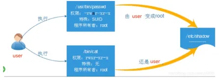 用户权限-Linux系统特殊权限