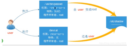 用户权限-Linux系统特殊权限