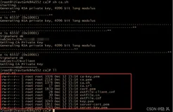 linux安装docker并实现idea使用证书加密连接