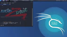 Kali Linux系统常见问题处理集锦