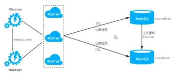MyCat - 高级 - 读写分离 - 一主一从读写分离配置 | 学习笔记