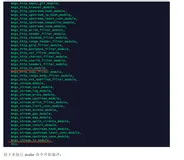 Nginx 第三方模块使用与开发