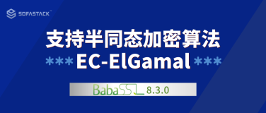 BabaSSL：支持半同态加密算法 EC-ElGamal