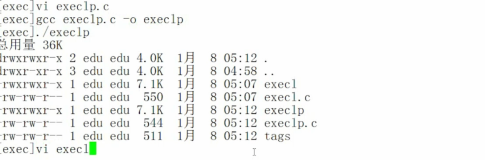 Execlp 函数｜学习笔记