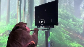 马斯克的Neuralink科学家遭质疑：他不是第一个让猴子用大脑控制计算机的人
