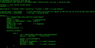 Linux系统LVM信息丢失处理方法