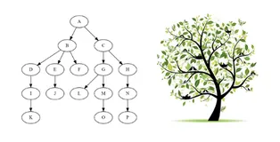 看了齐姐这篇文章，再也不怕面试问树了（上）