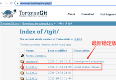 TortoiseGit 安装、配置、下载全流程