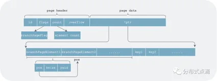 Boltdb 源码导读（一）：Boltdb 数据组织(2)