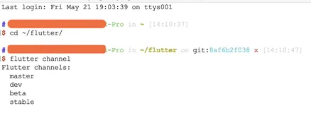 Linux 对 Flutter 进行版本切换小结 --《我的linux初体验》
