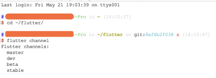 Linux 对 Flutter 进行版本切换小结 --《我的linux初体验》