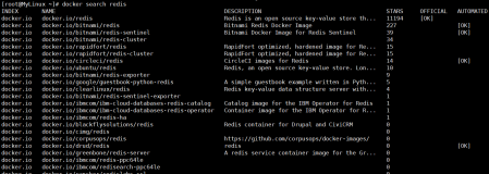 【Docker 基础教程】容器数据持久化（三）------ Redis的基础配置