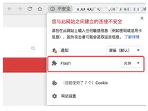 允许chrome浏览器运行flash