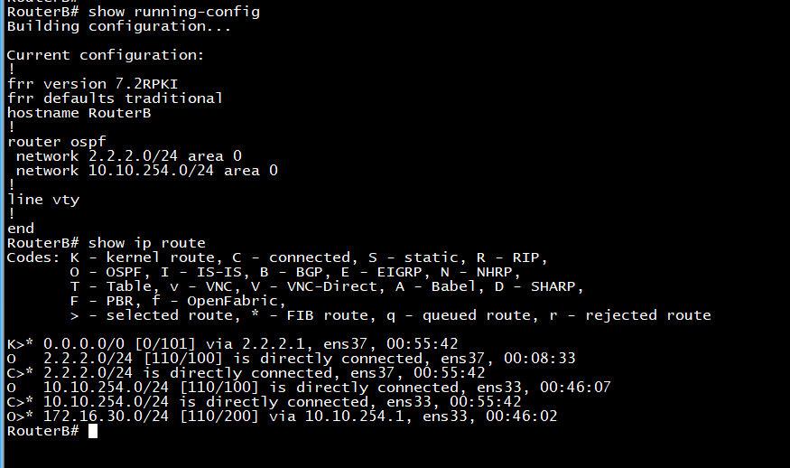 Настройка frr ospf debian