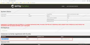 SpringCloud-2-Netflix-2-Eureka Client