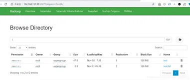如何在浏览器上在线看hdfs的数据