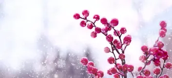 从零开始入门 K8s | Kubernetes 存储架构及插件使用