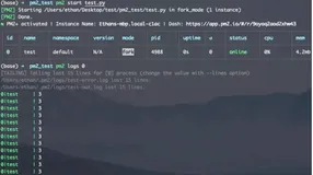 进程管理工具PM2在python项目中的使用