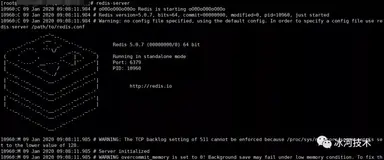 【Redis】Redis开篇与如何安装单机版Redis，这次我会了！！