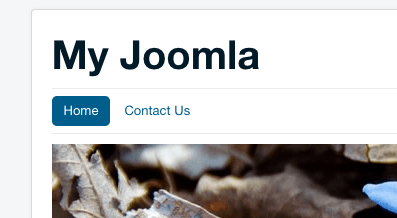 form-in-joomla7.png