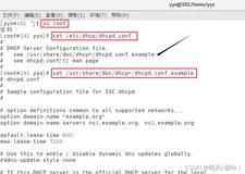 （*长期更新）软考网络工程师学习笔记——Section 14 Linux服务器配置（下）
