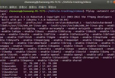 Ubuntu中如何查看mp4视频